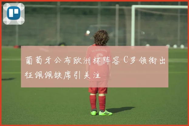 葡萄牙公布欧洲杯阵容 C罗领衔出征佩佩缺席引关注