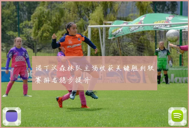 诺丁汉森林队主场收获关键胜利联赛排名稳步提升
