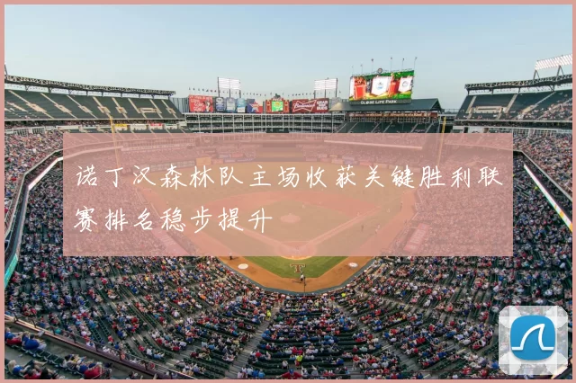诺丁汉森林队主场收获关键胜利联赛排名稳步提升