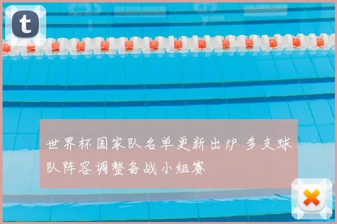 世界杯国家队名单更新出炉 多支球队阵容调整备战小组赛