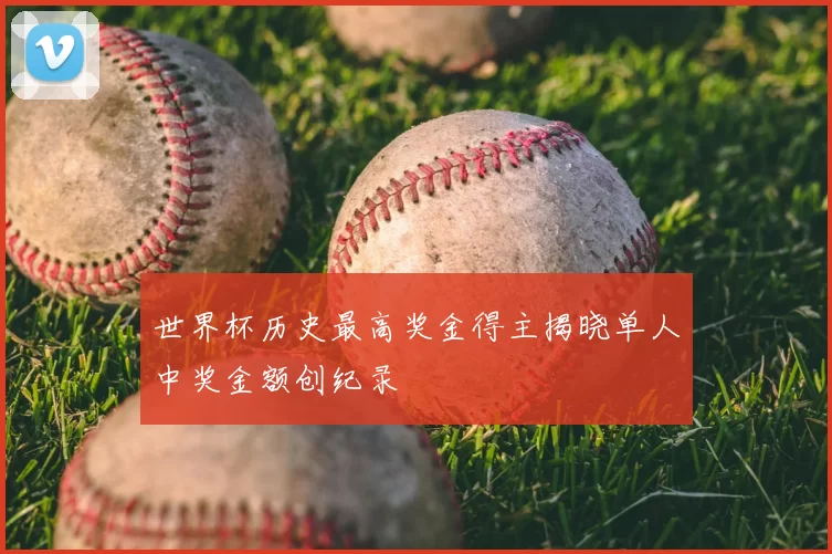 世界杯历史最高奖金得主揭晓单人中奖金额创纪录