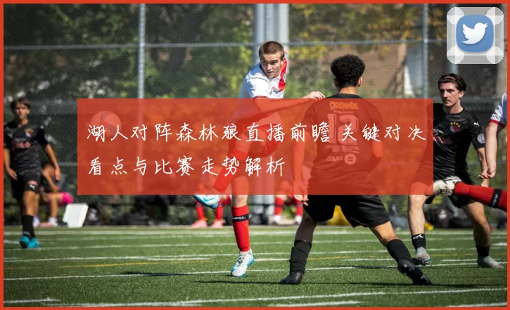 湖人对阵森林狼直播前瞻 关键对决看点与比赛走势解析