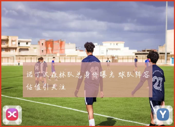 诺丁汉森林队总身价曝光 球队阵容估值引关注